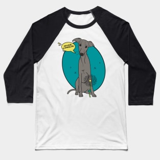 Funny greyhound design; Grey Italian greyhound with a dandelion flower Baseball T-Shirt